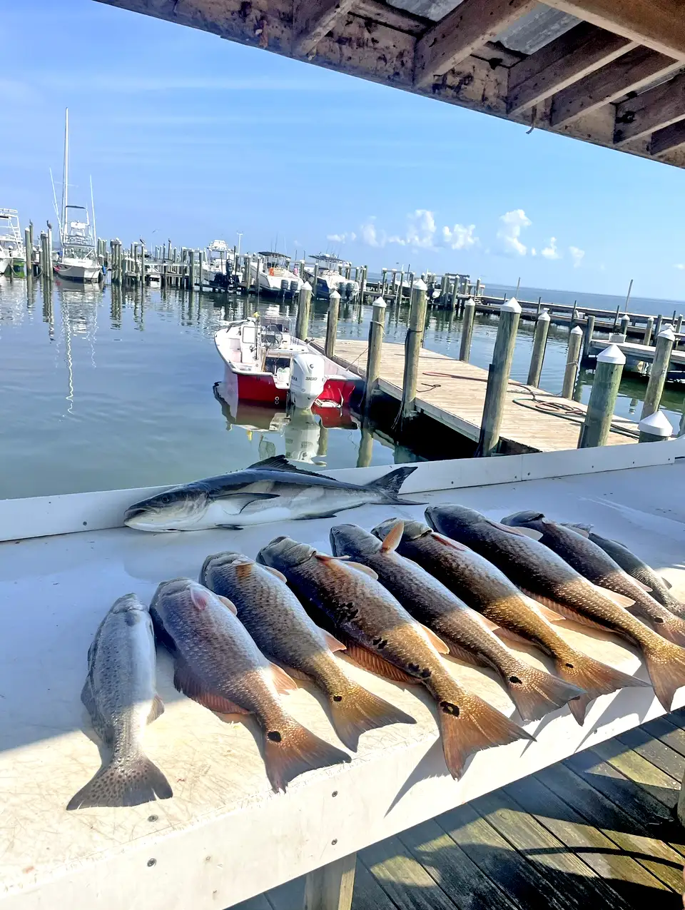 Inshore Fishing